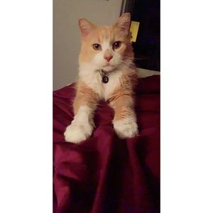 Meet your Posher, Jade